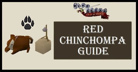 teco osrs|Complete Red Chinchompa Hunting Guide .